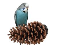 Perch para Pájaros con Diseño De Alicates - Soporte De Loro Y Accesorio De Juguetes De Jaula | De Embalaje De Pata para Periquitos, Conure, Canario, Especies De Pájaros Pequeños, Estadística