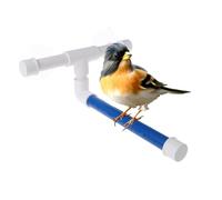 Percha de baño para Ducha de pájaros, Perca de Ducha loroqueta | Taza de Percha bied Percha Le Toy | Rack de pie de Montaje en Pared, Accesorios de Jaula de Loro