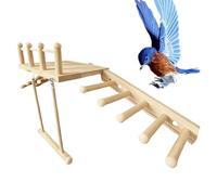 Percha para Loros - Juegos de Ejercicio con rampa y, Perchas para Loros y pájaros de Gran tamaño, para prevención del aburrimiento, estimulación Mental, Zona de Juego periquitos caída