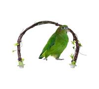 Percha para pájaros | de ejercicio enriquecedor plegable de 66 cm, Percha decorativa para jaula interior, para inseparables, conuras, calopsitas, periquitos y todos los tamaños