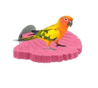 Percha Pequeña De Loros Uñas Cacatúas NINFA