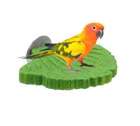 Percha Pequeña De Loros Uñas Cacatúas Ninfa