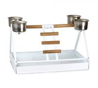 Percha portuguesa para loro - Opción: Posadero