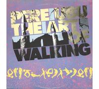 Pere Ubu - The Art Of Walking [Vinilo]