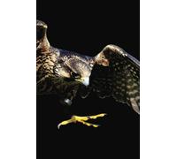 Peregrine Falcon: Peregrine Falcon and The Night Sky Notebook: Lined Paper for Notes, Thoughts, Diary, School