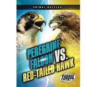 Peregrine Falcon vs. Red-Tailed Hawk (Animal Battles)