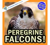 Peregrine Falcons!: A My Incredible World Picture Book for Children (My Incredible World: Nature and Animal Picture Books for Children)