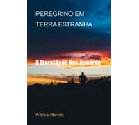 Peregrino Em Terra Estranha (ebook)