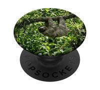 Perezoso Selva Árbol Colgando Vida Silvestre Escena Tropical Bosque PopSockets PopGrip Adhesivo