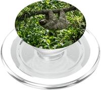 Perezoso Selva Árbol Colgando Vida Silvestre Escena Tropical Bosque PopSockets PopGrip para MagSafe