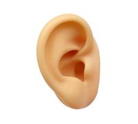 Perfeclan Modelo de Oreja de Silicona Cuerpo de Oreja Falsa Flexible Simulación Reutilizable para Pendientes Pantalla para Fotos para Mujeres Mostrar, Oreja Izquierda