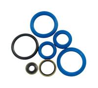 Perfeclan Sello de Aceite del Cilindro hidráulico de elevadora Sello mecánico para transpaleta Manual elevadora Camión de mudanzas, 2t