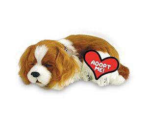 Perfect Petzzz 4905 - Peluche - Perro Cocker Spaniel King Charles