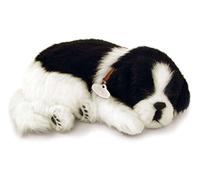 Perfect Petzzz Border Collie cachorro que respira the Breathing Puppy
