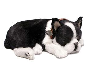 Perfect Petzzz Boston Terrier Cachorro Que Respira The Breathing Puppy