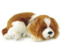Perfect Petzzz Cavalier King Charles Cachorro Que Respira The Breathing Puppy