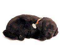 Perfect Petzzz de la respiration et du sommeil Motif chiot Labrador Retriever Noir-Nouvelle Version