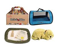 Perfect Petzzz Golden Retriever + Bolsa de Transporte