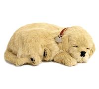 Perfect Petzzz Golden Retriever cachorro que respira the Breathing Puppy