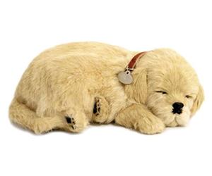 Perfect Petzzz Golden Retriever cachorro que respira the Breathing Puppy