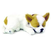 Perfect Petzzz - Perro de Peluche (10x23x19 cm) (4906)