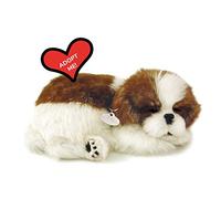 Perfect Petzzz - Perro de Peluche (10x23x19 cm) (Cd3 4924)