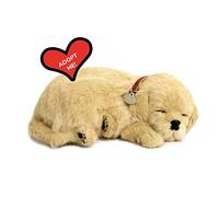 Perfect Petzzz- Pets Precious Petzzz Peluche Golden Retriever, Color Oro, 1 (CD 3 4908)