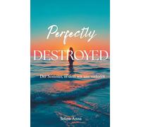 Perfectly Destroyed: Der Sommer, in dem wir uns verloren