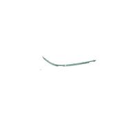 Perfil Cromado SX moldura Delantero para Serie 5 e39 2000-2003 51117005971