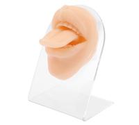 Perforación de Lengua de Silicona Modelo de Práctica | Entrenamiento Reutilizable, Estabilidad sobre Mostrador, para Estudios de Tatuaje y Perforación