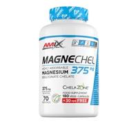 Performance Magnechel Magnesium 210 Caps