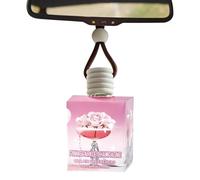 Perfume Del Automóvil,Eliminador De Olores Decoración | Eliminador De Olores De Vehículos | Para Interior De Coche Boquilla De Ventilación Para Hombres Y