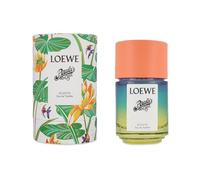 Perfume Unisex Loewe EDT Paula's Ibiza Eclectic 100 ml