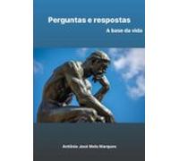 Perguntas E Respostas (ebook)