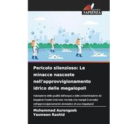 Pericolo silenzioso: Le minacce nascoste nell'approvvigionamento idrico delle megalopoli: Valutazione della qualità dell'acqua e della contaminazione ... domestico di una megalopoli