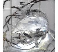 Perila - How Much Time It Is Between You And Me [Vinilo]