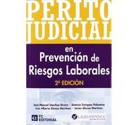 Perito judicial en Prevención de Riesgos Laborales (SIN COLECCION)