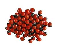 Perlas rojas de Chirmi Gunja para la riqueza y la prosperidad religión hindú diosa Laxmi Pooja Artículo (50 piezas)