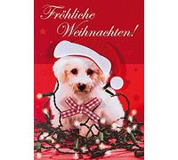 Perleberg Tarjeta de Navidad con sobre rojo - Tarjeta postal de Navidad de alta calidad en blanco y negro - Tarjeta de Navidad para saludos navideños - Tarjeta de felicitación