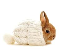 Perleberg Tarjetas en blanco con sobre, colección Basic Classic, tarjeta sin texto para todas las ocasiones, tarjetas de felicitación elegantes con conejo, tarjetas en blanco, tarjeta de felicitación