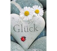 Perleberg Tarjetas en blanco con sobre - Mini Collection - Tarjeta sin texto para todas las ocasiones - Tarjetas de felicitación para bodas, cumpleaños, etc. - Tarjetas en blanco - Tarjeta de