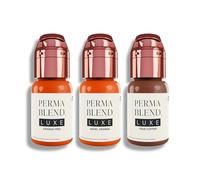 Perma Blend - Juego de 3 pigmentos para tatuajes y cejas de lujo (15 ml, accesorios profesionales para microblading)