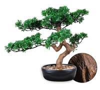 Permaplants - Árbol bonsái artificial, pino de enebro, corteza realista de 16 pulgadas, maceta de cerámica, plantas falsas Zen relajantes para el hogar, dormitorio, oficina, escritorio, mesita de