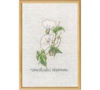 Permin Kit de punto de cruz, diseño de Calystegia