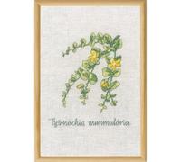 Permin Lysimachia - Kit de punto de cruz para punto de cruz