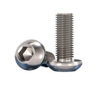 Perno redondo puro M2-M6 del tornillo hexagonal Gr2 de la cabeza de la cacerola del titanio ISO7380 TA2(20mm,M4 (10Pcs))