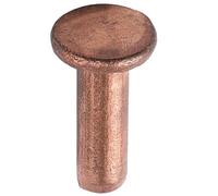 Pernos de cabeza redonda, Remaches sólidos de cabeza plana M5 x 6mm-40mm, sujetadores percusión métricos lisos que no se caen, 20 piezas(M5 x 10mm)
