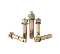 Pernos de expansión de 10 piezas M6 M8 M10 M12 M16 100L 150L tornillo de expansión de acero inoxidable, perno galvanizado, perno de tubo explosivo externo de alargamiento de explosión(Gold,100MM_M10.0