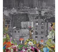 Perpetual Eden [Vinilo]