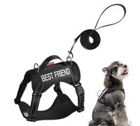 Perra DE Perro - Ruta De Truco De Escape De Escape De Escape, Truco De Paredes, Habitaciones Reflectantes Collar De Luz | Suministros para Mascotas Ajustables para Yo Pequeño